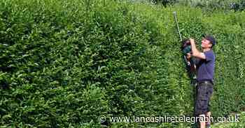 Can my neighbour remove our boundary hedge without my permission?