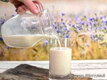 Infarti e cardiopatie ischemiche: gli effetti collaterali di chi beve latte. Donne più a rischio