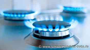 Gemeinderat Ebhausen: Räte  kippen Beteiligung an der Netze BW