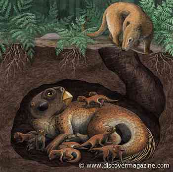 An Eruption Like Pompeii Most Likely Didn't Preserve These Dinosaur Fossils