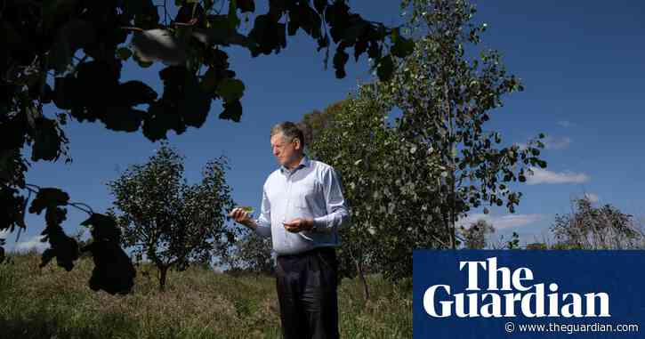 ‘It’s gang-gang country’: the landholders restoring farmland to forest in the Victorian alps