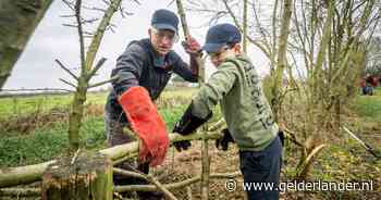 Floris (11) eert zijn pas overleden opa, een bekend heggenvlechter. En vlogger Govert Sweep helpt mee