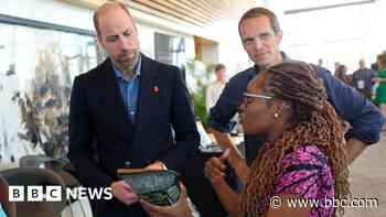 'Smaller R in the royal' - How Prince William wants to do things differently