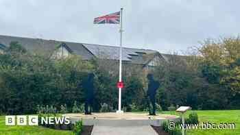 'Desecrated' memorial re-planted for Remembrance Day