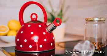 Kettle limescale will melt away with two natural items - no scrubbing or harsh chemicals