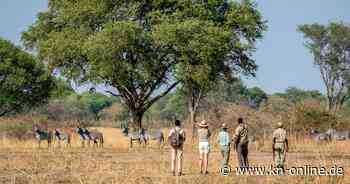 Walking Safaris: In Sambia geht es zu Fuß zu Flusspferden