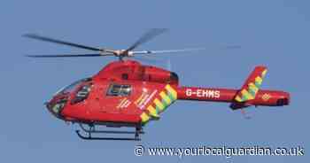 Air ambulance called after child killed by falling tree branch in Surrey