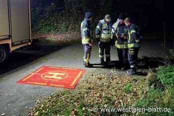 Mann (84) aus Willebadessen wird vermisst