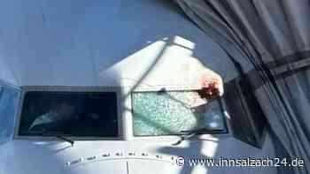 Gans zertrümmert Cockpit-Scheibe von Boeing 737 – Kapitän verletzt, Notlandung