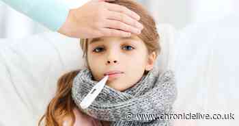 How to tell if your child has norovirus and what to do as cases of winter vomiting bug rise