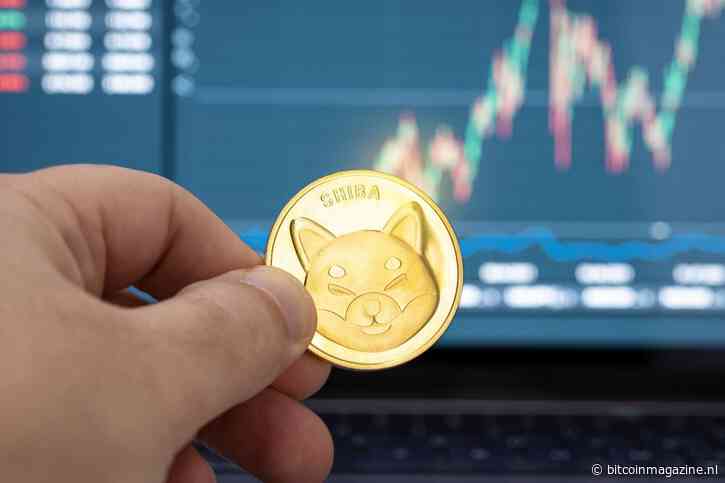 Kan de Shiba Inu koers exploderen na Robinhood update?