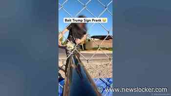 Bait Trump Sign Prank Compilation 😂 #Pranks #JoeySalads #ViralVideos