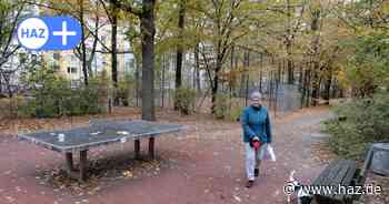 „Paradies für Ratten“ am Bonifatiusplatz: Stadt beauftragt Schädlingsbekämpfer