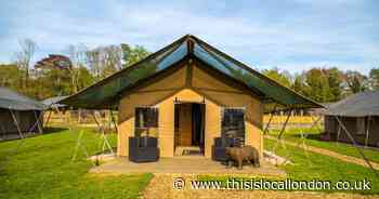 Family glamping holidays at a Bear Lodge in Kent with rare and endangered animals