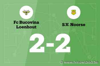 Bucovina Loenhout en Noorse delen de punten