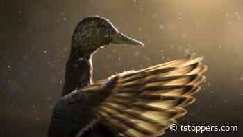 Don't Fall for the Lies That 'Real' Photographers Want to Tell You