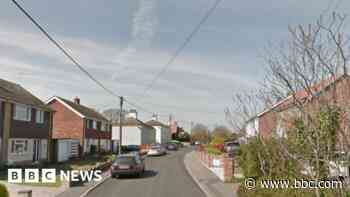 Man, 86, dies in single vehicle collision