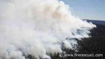 Parks employee dies fighting brush fire along N.Y., N.J. border
