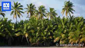 'Where's the money gone?': Restocking remote supermarket just one hurdle facing administrators on Cocos Islands
