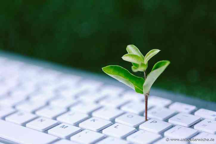 ESG: Der IT fehlen die Daten