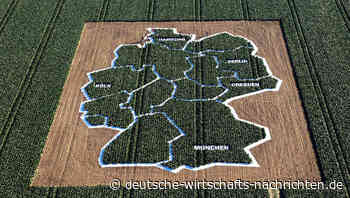 Glücksatlas 2024: Deutsche wieder auf Glückskurs?