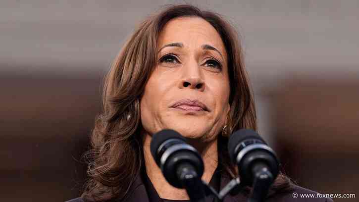 Dem Party blame game: Accusations fly as to who is responsible for Harris' massive loss to Trump