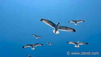 How to migrate from X to Bluesky without losing your followers