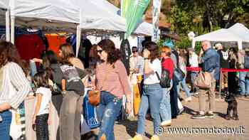 'Baobab, Bambini e Natura': due giornate di attività gratuite per ogni età al Green Market Festival di Roma