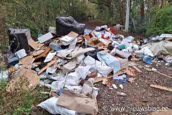 Enorm sluikstort naast A12: “Hier schrik ik helaas niet meer van”