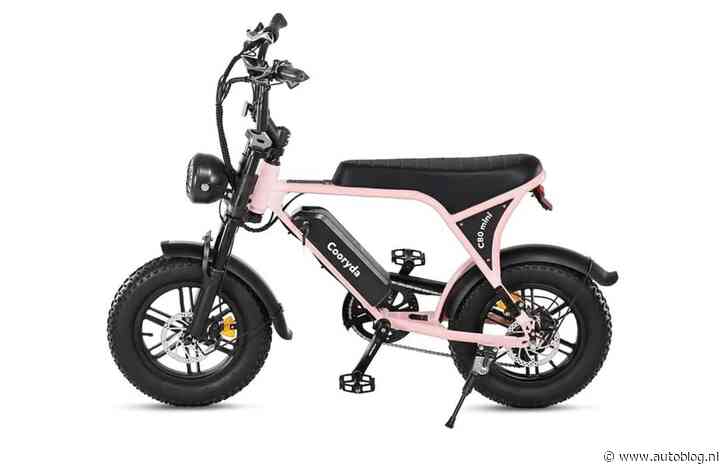 Help, kleine kinderen gaan nu aan de mini-fatbike