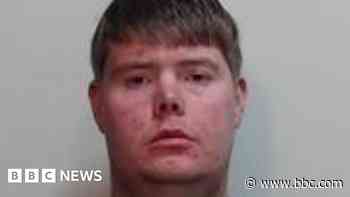 Man sentenced for hit-and-run that killed pedestrian