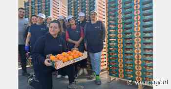 Tot 30 pallets kaki's per dag naar Duitse klanten