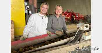 Uitzonderlijk goed jaar voor Bintje in Noord-Frankrijk