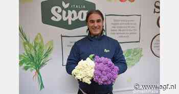 Alles klaar voor de afzet van de Fioretto bloemkoolroosjes