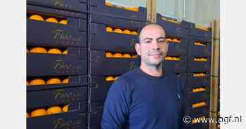 "Gematigde vraag naar Griekse Navels, ondanks overstromingen in Valencia"