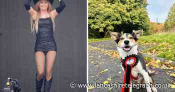 That DOES impress me much - How Shania Twain helped save poorly Lancashire pooch