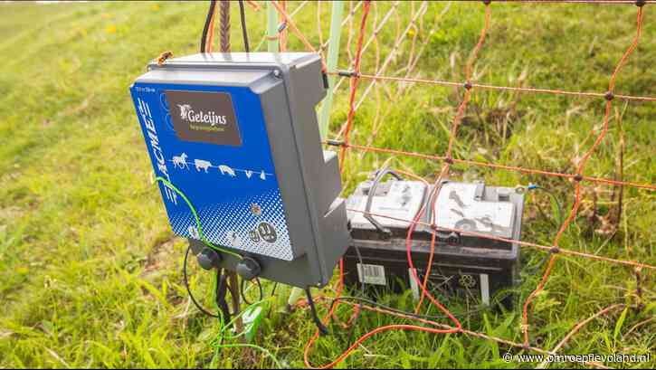 Lelystad - Lelystedeling met schoondochter op boevenpad in Friesland