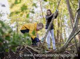 'Motoriek en gezondheid kinderen verbeteren door buiten in de natuur te bewegen'