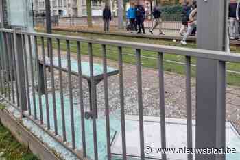 Ruit van bushok sneuvelt door knalvuurwerk in Deurne, politie betrapt twee jongeren op heterdaad