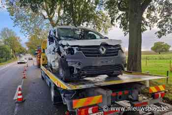 Bestelwagen botst tegen verkeersbord en boom in Tongeren, 67-jarige man lichtgewond