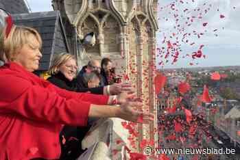 ‘Poppydames’ zorgen voor kippenvel op 11 november: “Van de honderdduizenden blaadjes hopen we dat er toch enkele hun weg vinden tot de Menenpoort”