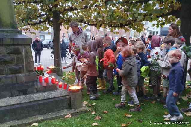 Verenigingen brengen mee hulde aan slachtoffers Eerste Wereldoorlog