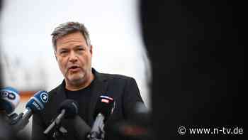 Warnung vor einer Hängepartie: Habeck spottet über die "Blitzmerker" der FDP