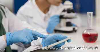 The Breakthroughs of Vision Restoration - The New Importance of Stem Cells