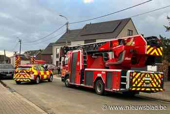 Schouw vat vuur door brandend vogelnest