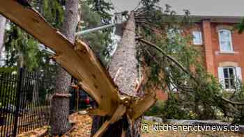 Experts investigate possible tornado in Fergus, Ont.
