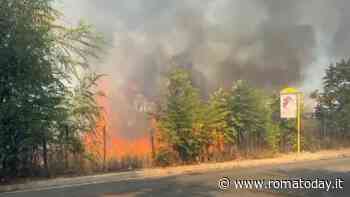 Maxi rogo al pratone di Torre Spaccata: dopo 3 mesi dimesso il vigile rimasto ustionato