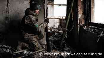 Masala: „Wir machen den Fehler und schauen nur auf Trump“