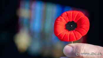 Veterans, fallen soldiers honoured at Manitoba's largest Remembrance Day service