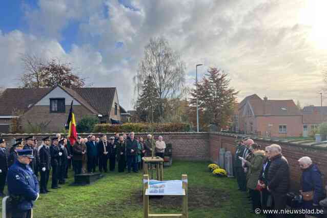 Vredesboom herdenkt Lokerse bevrijding